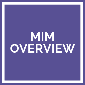 mim_overview_thumb.png